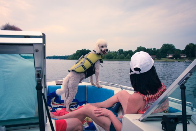 Elliot pretending he is brave enough to swim